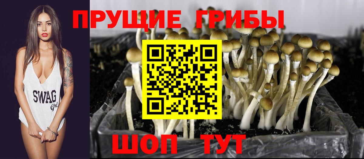 Галлюциногенные грибы ЛСД Кинель